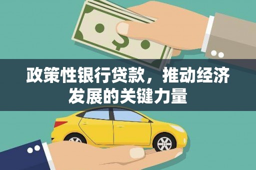 双城政策性银行贷款，推动经济发展的关键力量