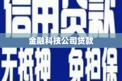 双城金融科技公司贷款