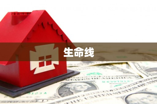 双城生命线
