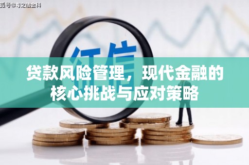 双城贷款风险管理，现代金融的核心挑战与应对策略