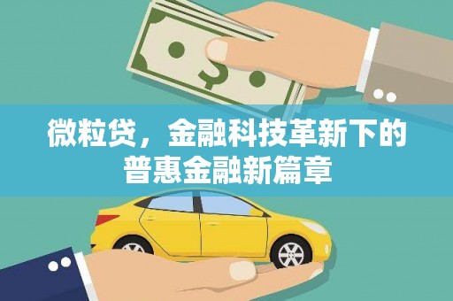 双城微粒贷，金融科技革新下的普惠金融新篇章