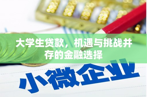 双城大学生贷款，机遇与挑战并存的金融选择