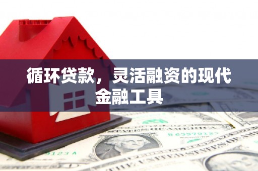 双城循环贷款，灵活融资的现代金融工具