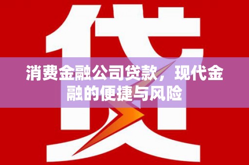 双城消费金融公司贷款，现代金融的便捷与风险