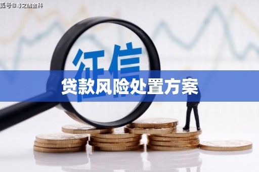 双城贷款风险处置方案