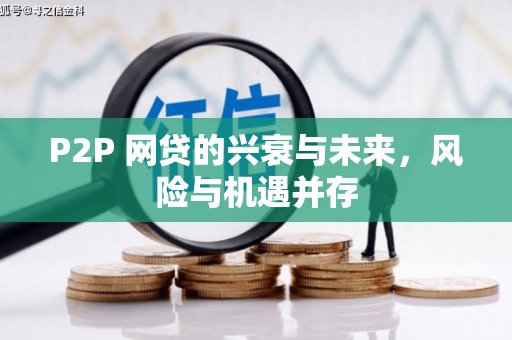 双城P2P 网贷的兴衰与未来，风险与机遇并存