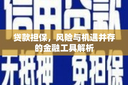 双城贷款担保，风险与机遇并存的金融工具解析