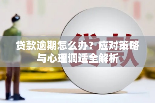 双城贷款逾期怎么办？应对策略与心理调适全解析