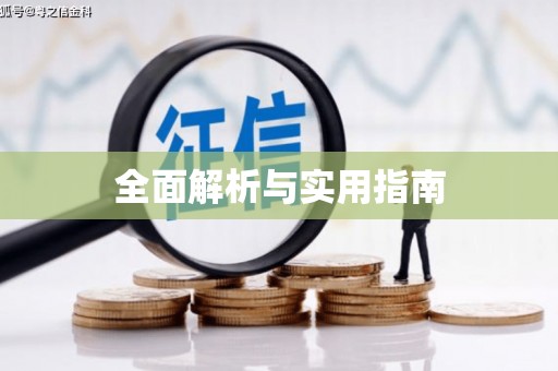 双城全面解析与实用指南