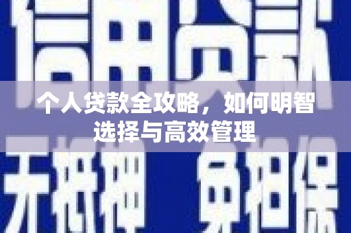 双城个人贷款全攻略，如何明智选择与高效管理