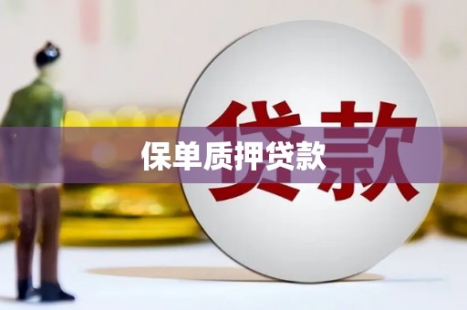 双城保单质押贷款