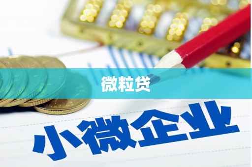 双城微粒贷