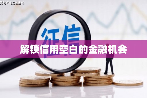 双城解锁信用空白的金融机会