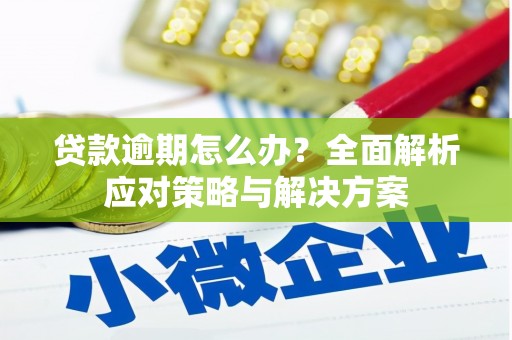双城贷款逾期怎么办？全面解析应对策略与解决方案