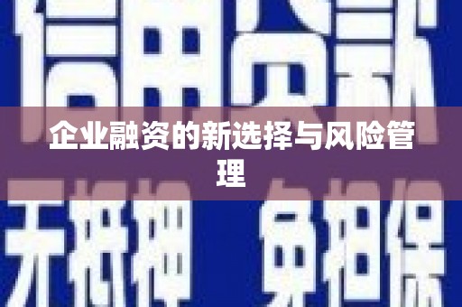 双城企业融资的新选择与风险管理