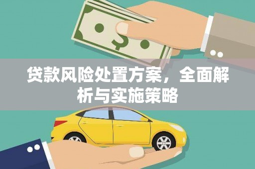 双城贷款风险处置方案，全面解析与实施策略