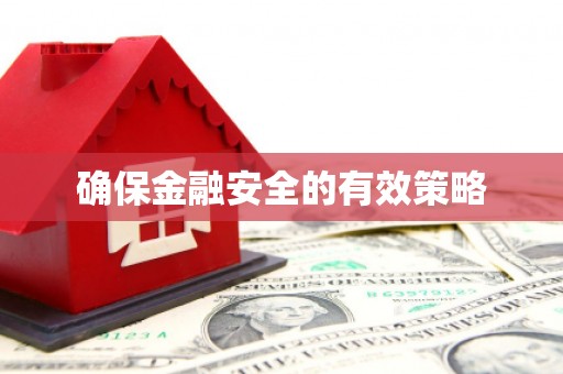 双城确保金融安全的有效策略