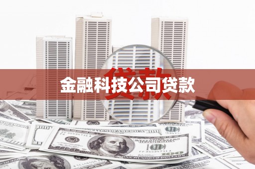 双城金融科技公司贷款