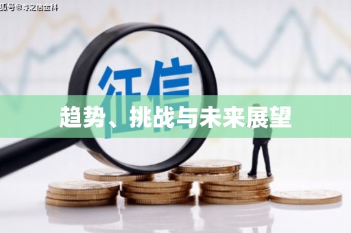 双城趋势、挑战与未来展望