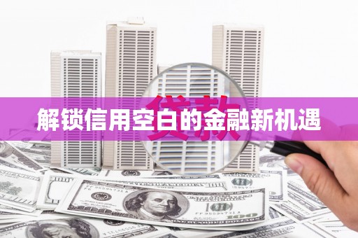 双城解锁信用空白的金融新机遇