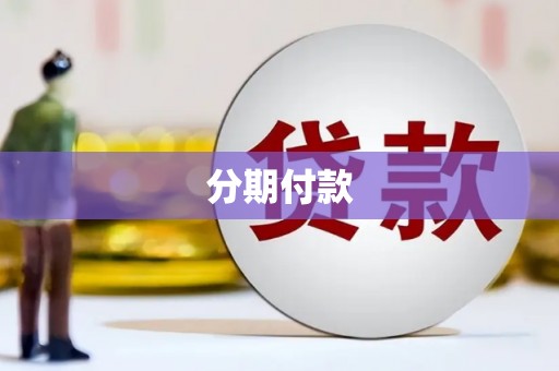 双城分期付款