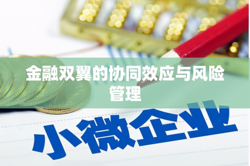 双城金融双翼的协同效应与风险管理