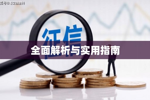 双城全面解析与实用指南