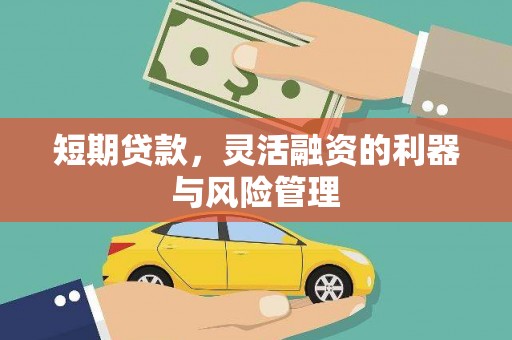 双城短期贷款，灵活融资的利器与风险管理
