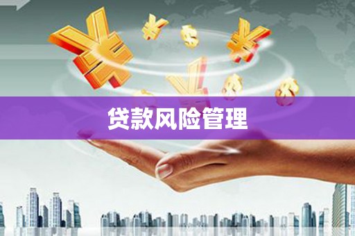 双城贷款风险管理