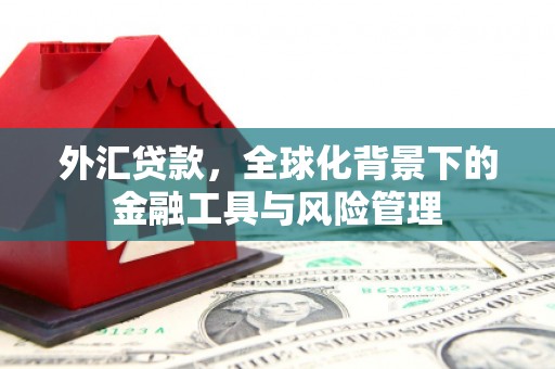 双城外汇贷款，全球化背景下的金融工具与风险管理
