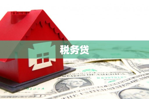 双城税务贷