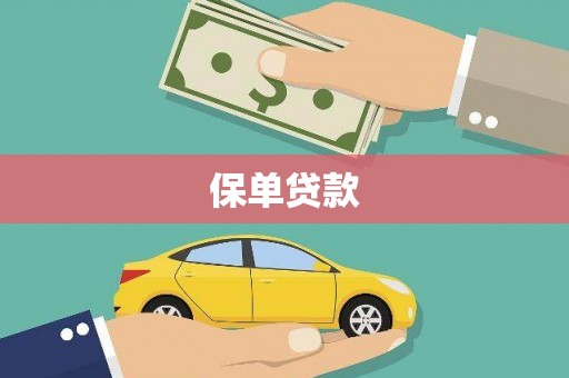 双城保单贷款 双城保单贷款